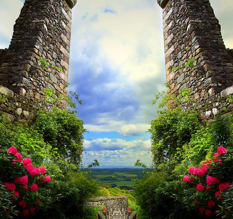 -Premade BG the Portal-, grass, premade BG, love four seasons, panoramic view, the portal, attractions in dreams, creative pre-made, sky, clouds, stock , landscapes, flowers, nature, backgrounds, resources, other, HD wallpaper
