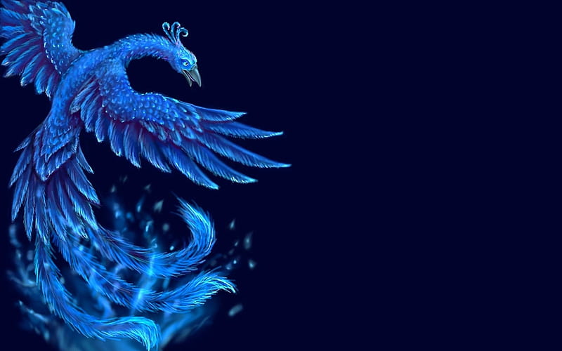 Blue phoenix, fantasy, water, bird, phoenix, blue, HD wallpaper