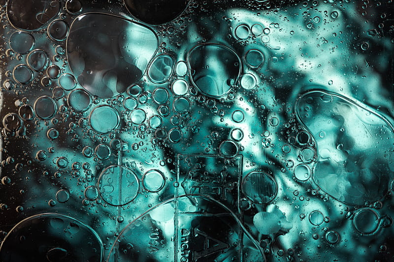 bubbles, circles, abstraction, water, HD wallpaper