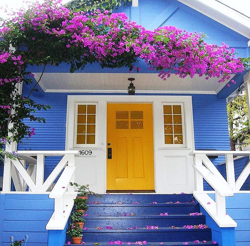 Yellow door, house, floral vine, white trim, pink, blue, HD wallpaper