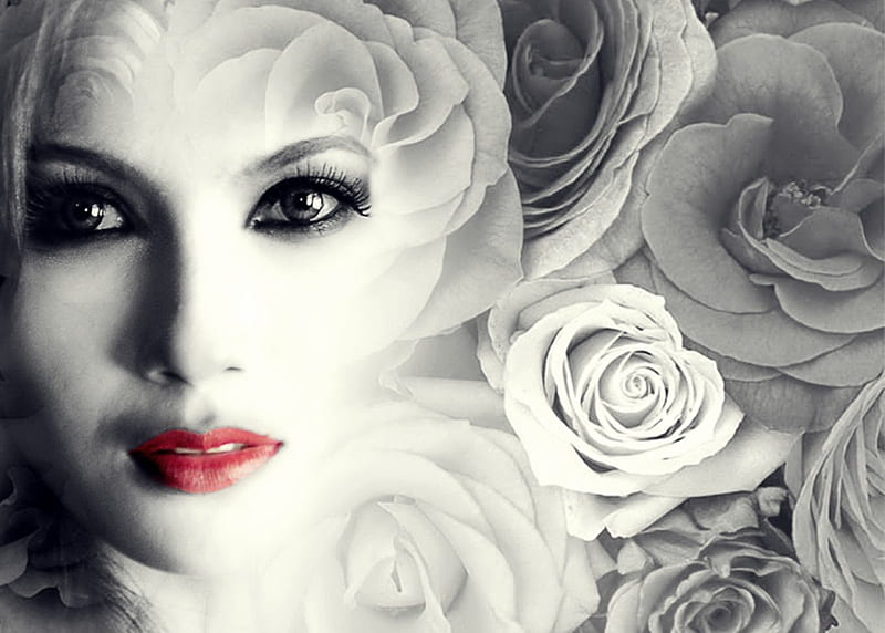 White Roses Lady, WOMAN, WHITE, ROSES, LADY, HD wallpaper