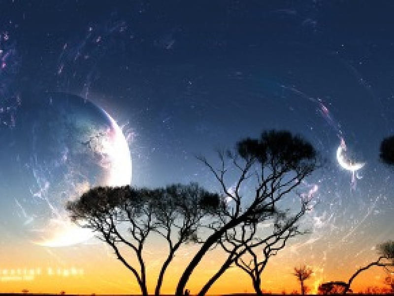 Night, planets, sky, trees, HD wallpaper | Peakpx
