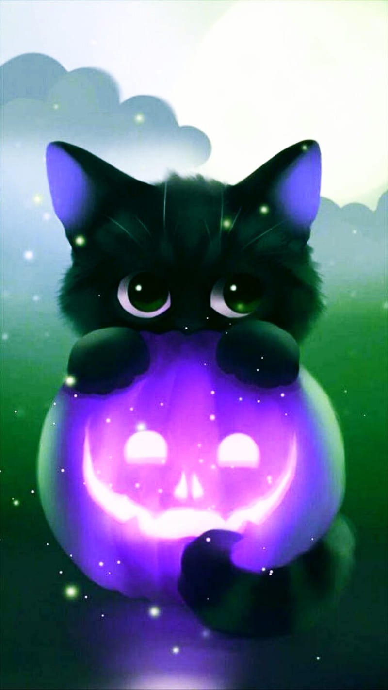 Kitty , black, cat, cute, HD phone wallpaper