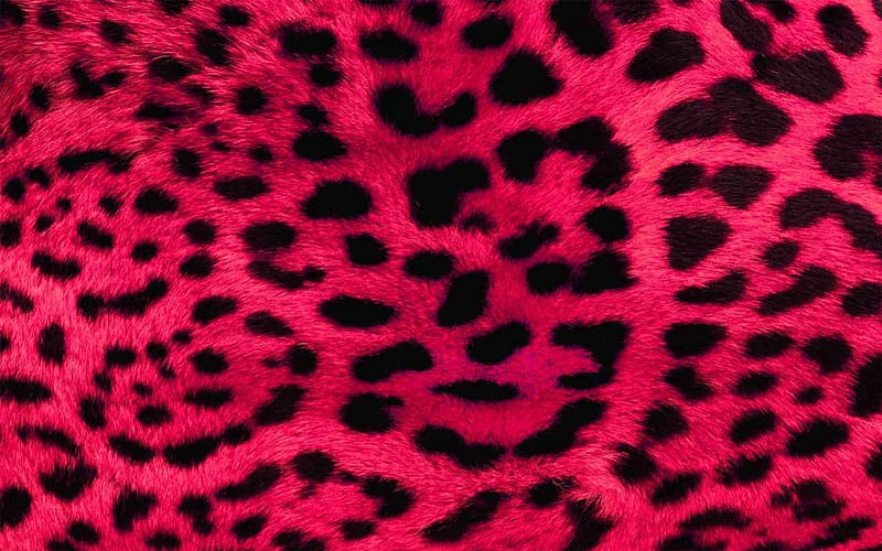Cheetah, animal print, black, pattern, HD phone wallpaper