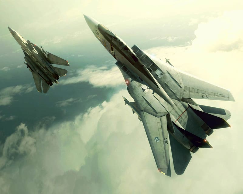 Video Game, Ace Combat, Grumman F 14 Tomcat, HD wallpaper