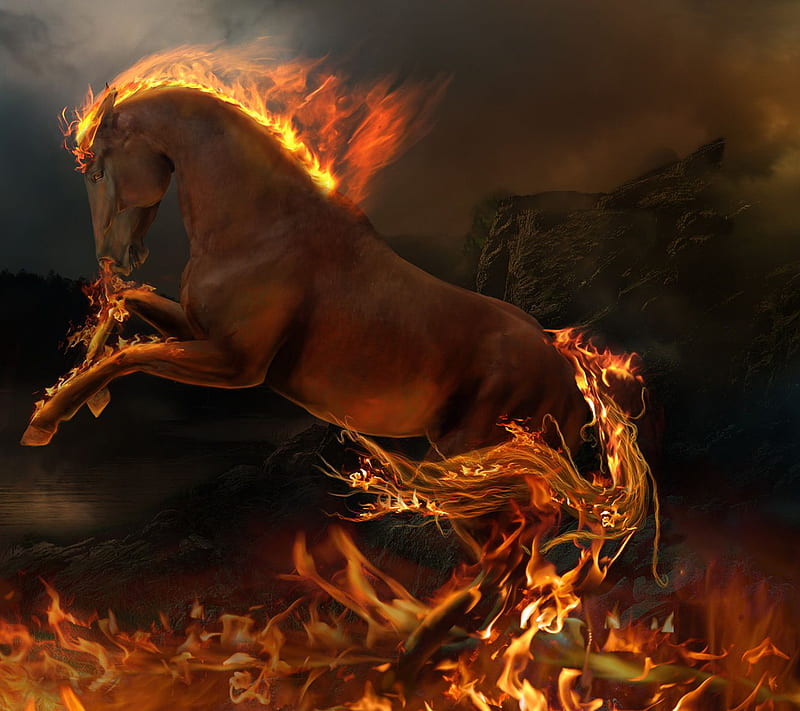 Burning Horse, amazing, animal, art, color, dark, fire, flames, gothic,  horse, HD wallpaper | Peakpx