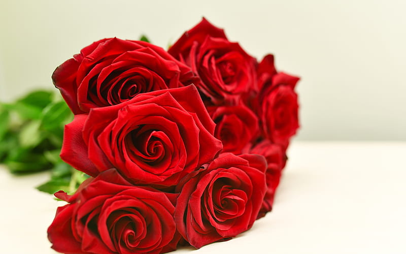 red roses, beautiful red flowers, bouquet of roses, background with red roses, red rose buds, HD wallpaper