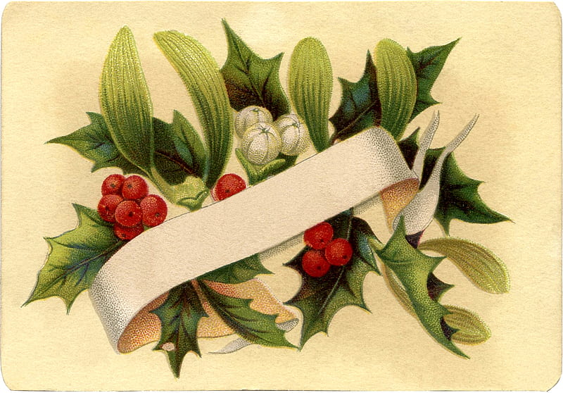 Merry Christmas!, card, mistletoe, red, christmas, craciun, green, vintage, HD wallpaper