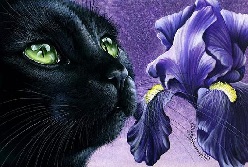 Black cat and iris, art, purple, flower, black, painting, cat, pisici, iris, pictura, HD wallpaper