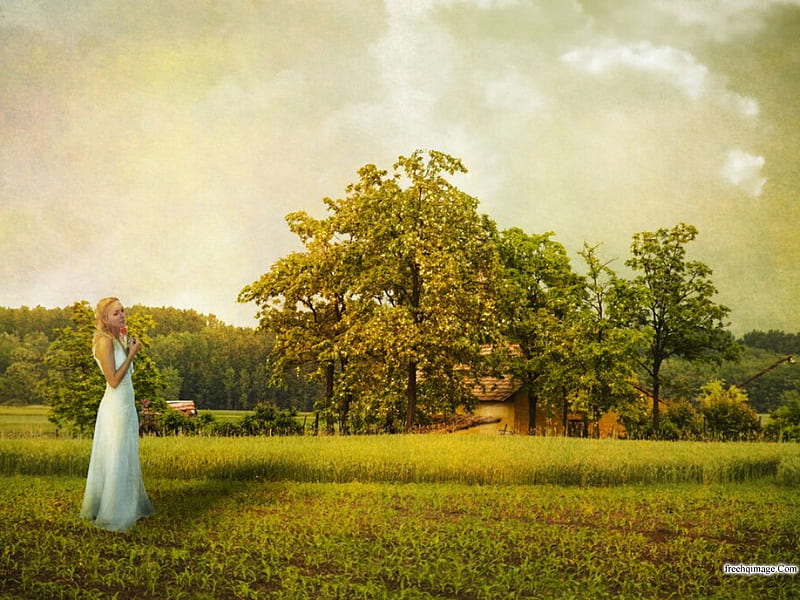 Woman In Field Painting Art Woman Field HD   Peakpx   HD   Woman In Field Painting Art Woman Field 