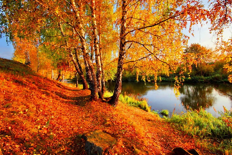 Autumn lake, fall, autumn, lovely, golden, bonito, trees, lake, foliage ...