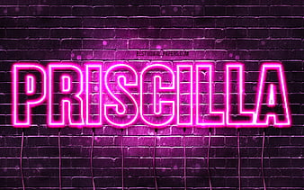 Priscilla with names, female names, Priscilla name, purple neon lights,  horizontal text, HD wallpaper | Peakpx
