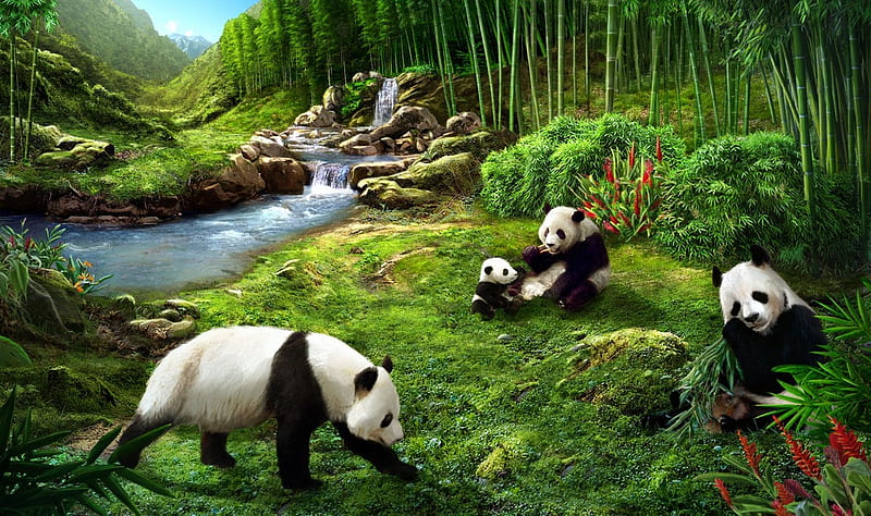 Panda bears, urs, green, black, bear, white, bamboo, art, luminos, panda, fantasy, jerry lofaro, HD wallpaper