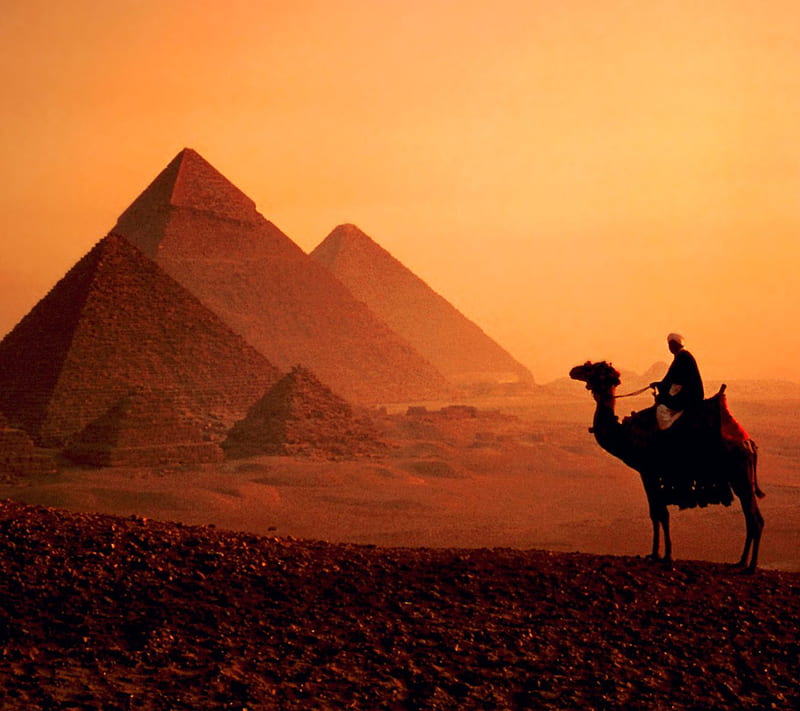 Pyramid Camel Desert Egypt Hd Wallpaper Peakpx