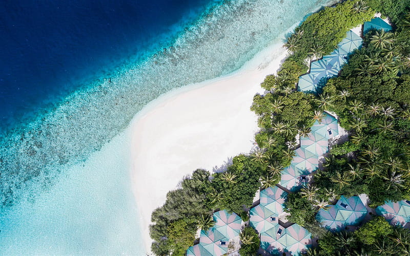 Maldives, tropical island, aerial view, beach, white sand, palm trees, resort, travel concepts, HD wallpaper