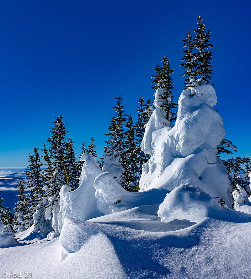 trees, snow, snowdrifts, winter, nature, HD phone wallpaper