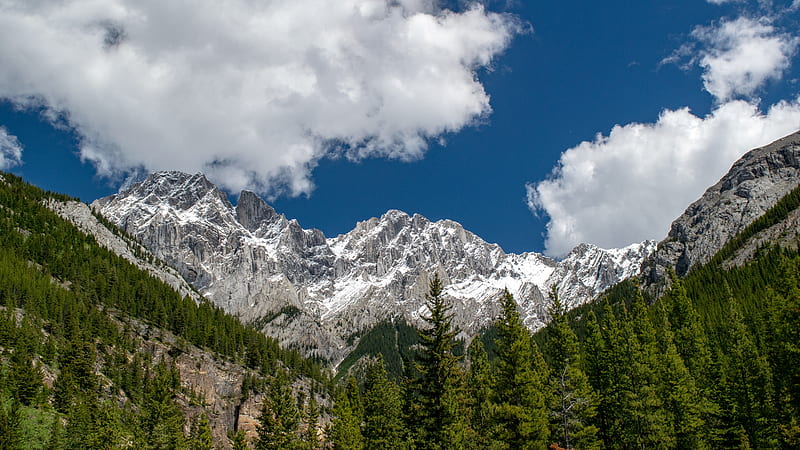 mountains, mountain range, peaks, trees, clouds, HD wallpaper