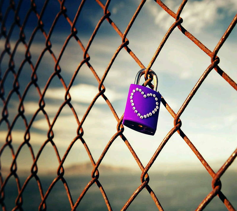 lock love, HD wallpaper