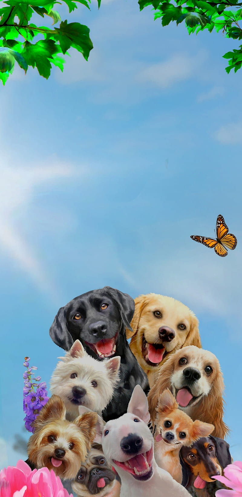 Dogs Selfie, animals, cute, funny, HD phone wallpaper