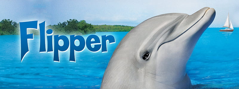 Flipper, Water, TV Series, Dolpin, Movie, HD wallpaper