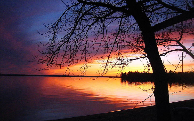 Lakeside, sunset, tree, sky, lake, HD wallpaper