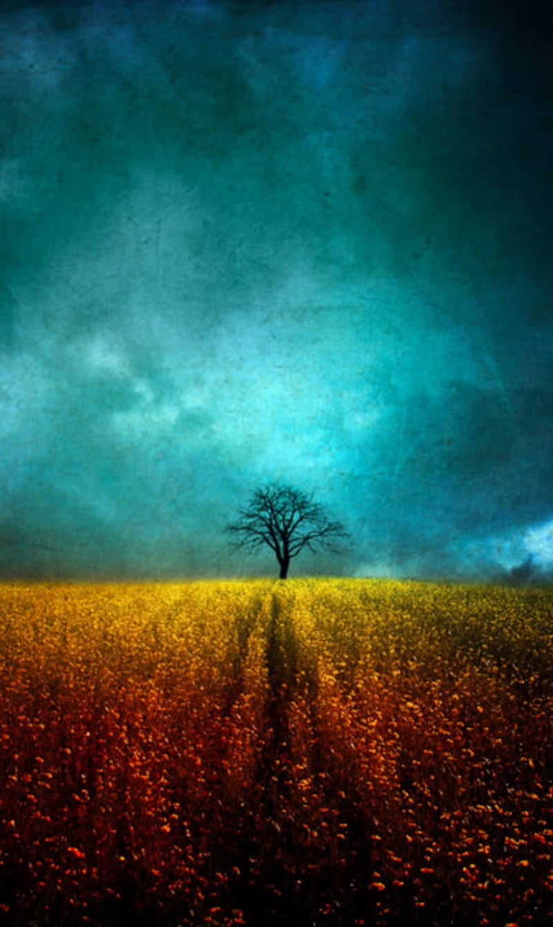 field, autumn, landscape, meadow, sky, tree, HD phone wallpaper