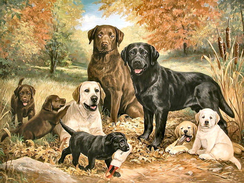 Labrador Family FC, family, art, labrador, bonito, pets, artwork, canine, animal, puppies, painting, wide screen, dogs, HD wallpaper