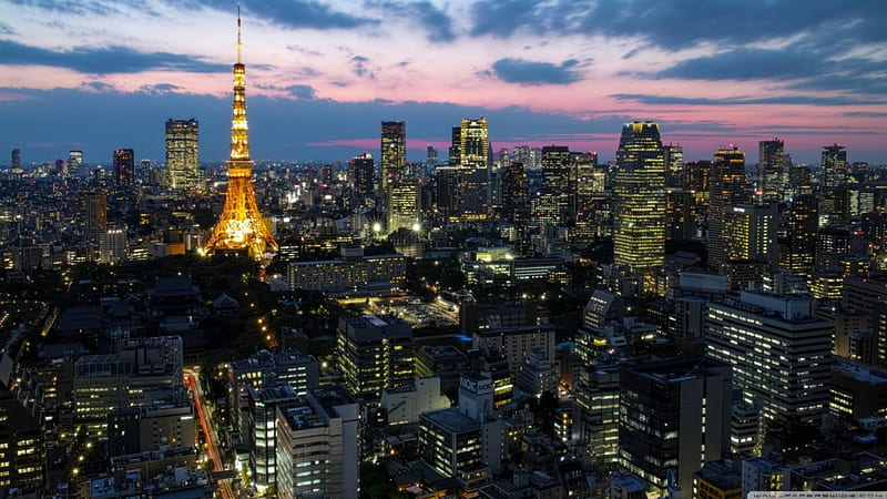 Tokyo Cityscape, Asia, japan, Tokyo, cityscape, HD wallpaper | Peakpx