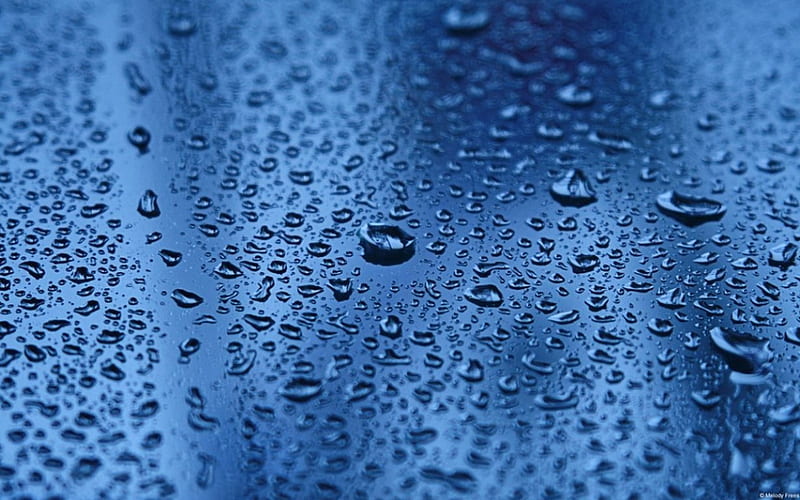 Water on windshield, raindrops, drops, abstract, graphy, water, macro, close-up, rain, waterdrops, HD wallpaper