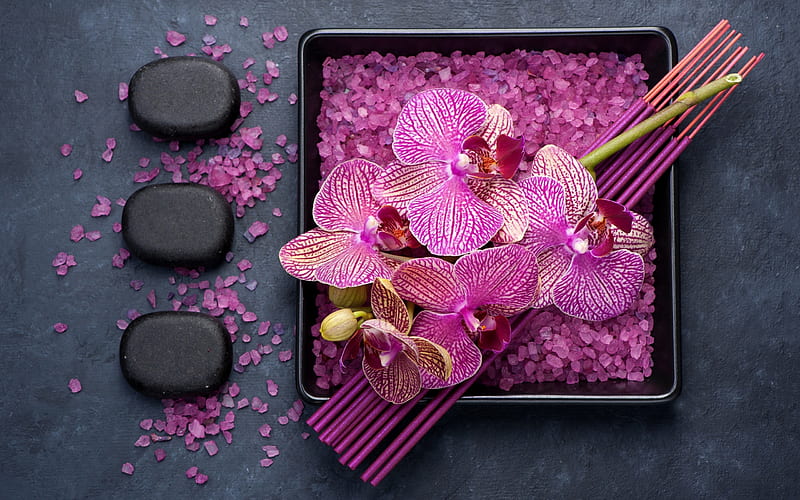 pink orchids, tropical flowers, black stones, spa concepts, wellness, spa salt, HD wallpaper