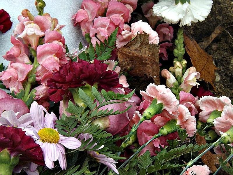 floral mixture, bouquet, flowers, petals, pink, florals, HD wallpaper