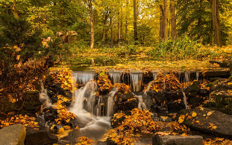 waterfall, autumn, yellow leaves, yellow trees, forest, autumn landscape, HD wallpaper