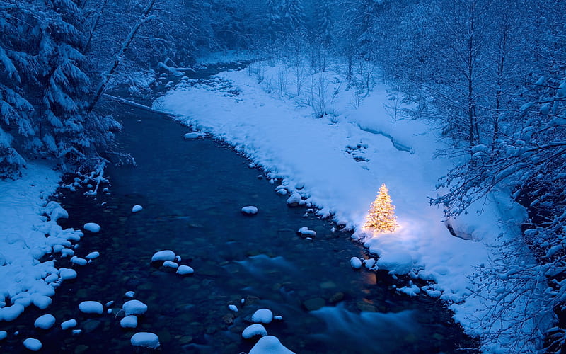 small stream of snow in the distribution of warm light the Christmas tree, HD wallpaper