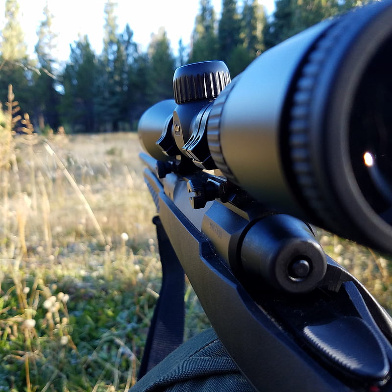 Hunting, nature, rifle, HD phone wallpaper