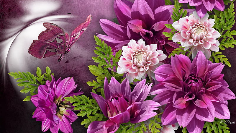 Dahlias Butterfly, fall, autumn, butterfly, bouquet, dahlias, bright, summer, flowers, season, pink, HD wallpaper