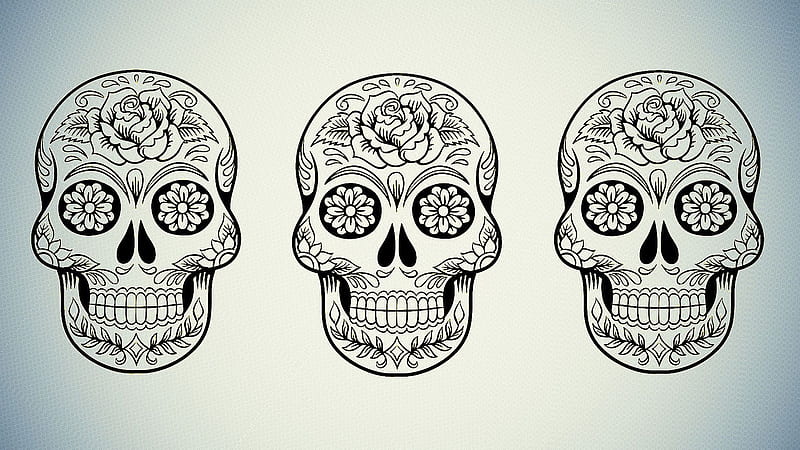 Three Skull Head 27595, Skull Heads, HD wallpaper