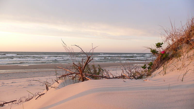 beautiful white sand beach on the baltic sea, beach, sand, dunes, waves, sea, HD wallpaper