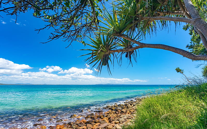 Noosa National Park in Queensland, beach, Sky, Summer, Australia, Clouds, HD wallpaper