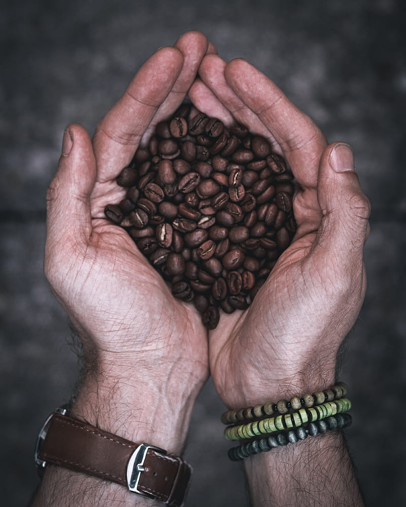 coffee, palms, hands, watches, HD phone wallpaper