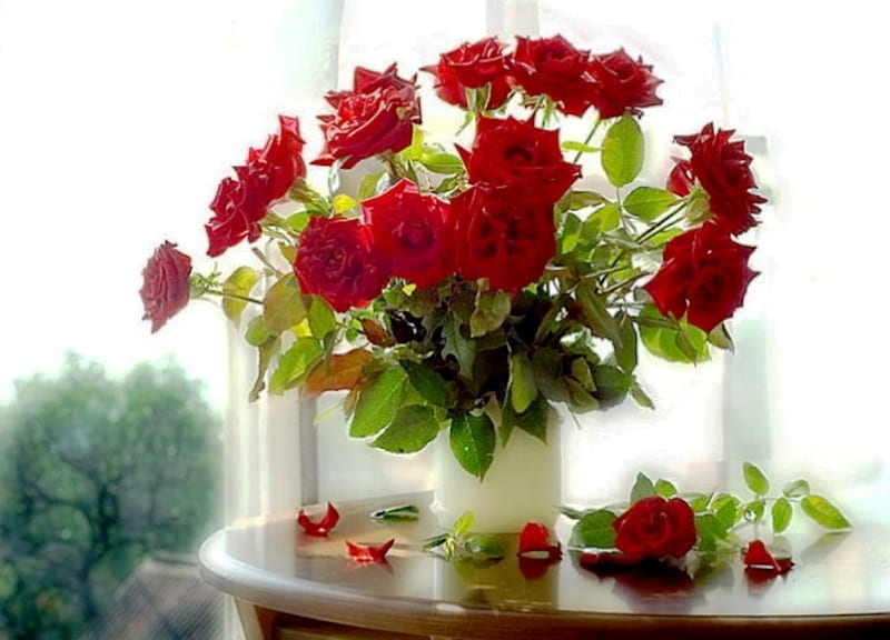 Red roses, red, table, feeling, vase, roses, still life, graphy ...