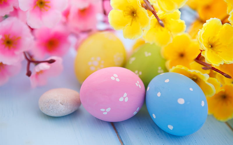 Easter Eggs and Spring Blossoms, easter, eggs, celebrations, HD wallpaper
