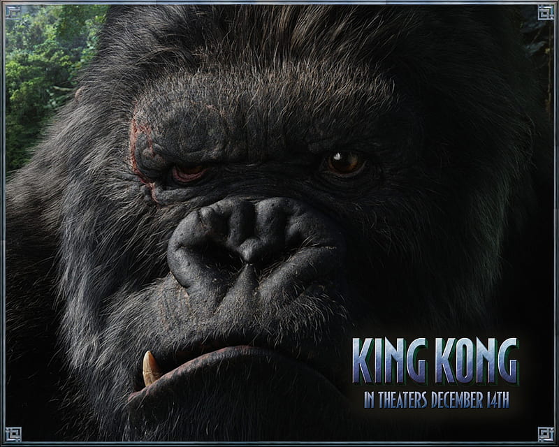 King Kong, jungle, ape, drama, movie, HD wallpaper | Peakpx