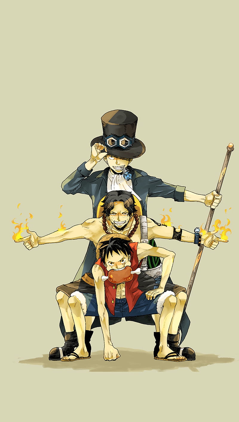 Brothers, ace, anime, brother, fire, fist, luffy, monkey, naqvi, sabo, HD phone wallpaper