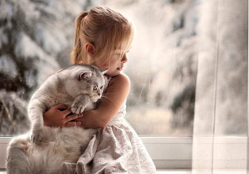 Sweet Love, window, kitty, cat, cat face, sweet, paws, girl, love, little girl, sweetness, kitten, princess, cats, HD wallpaper