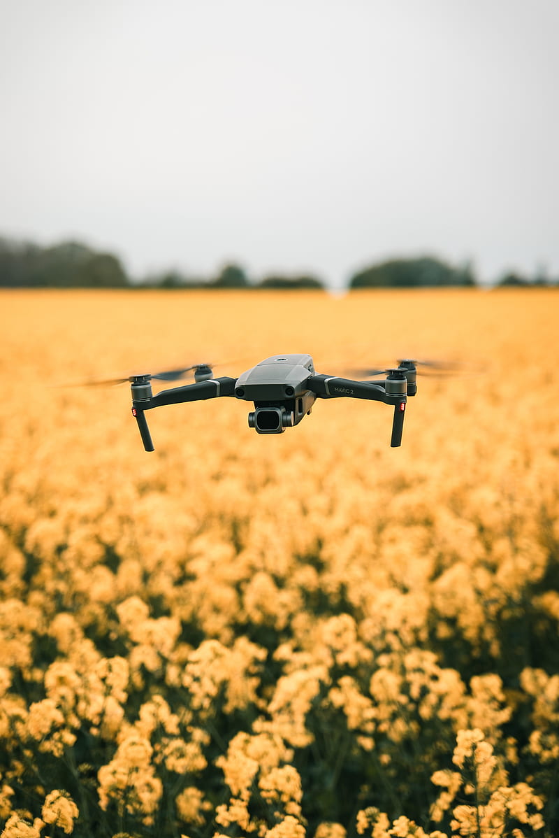 quadcopter, drone, flight, flowers, yellow, field, HD phone wallpaper