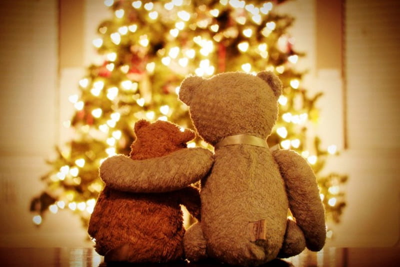 Best friends and Christmas tree, Christmas, enjoy, holidays, together, abstract, happy, lights, teddy bears, tree, graphy, best, friends, HD wallpaper
