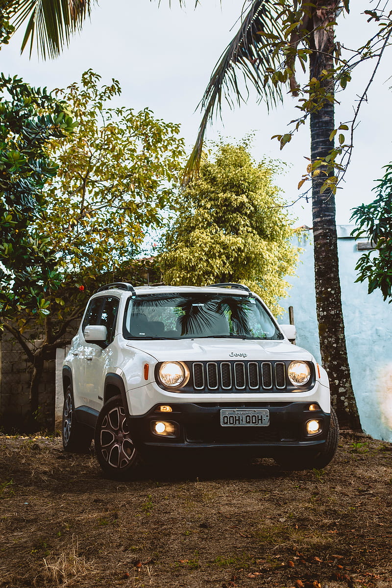 jeep renegade, jeep, car, suv, white, trees, HD phone wallpaper
