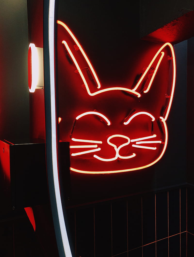 neon, sign, cat, light, red, HD phone wallpaper
