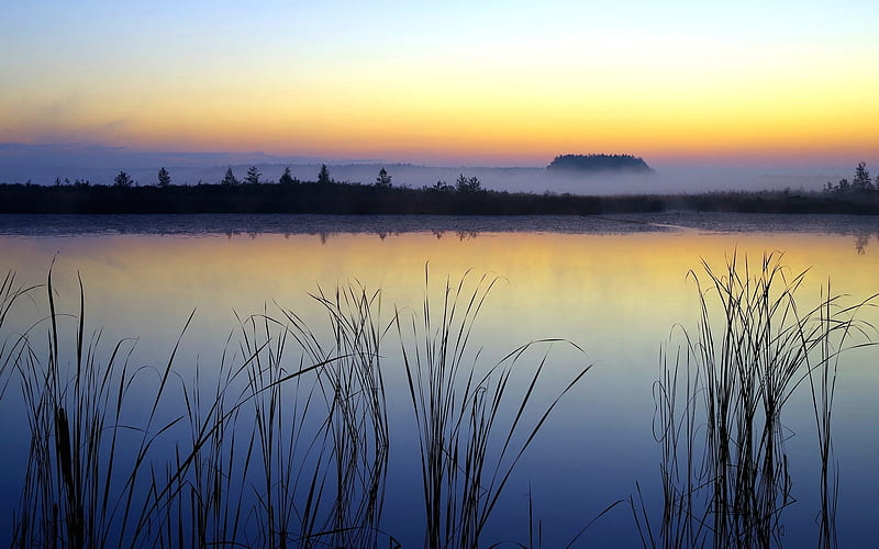 Lake at Sunrise, mist, lake, water, purple, sunrise, rushes, HD ...