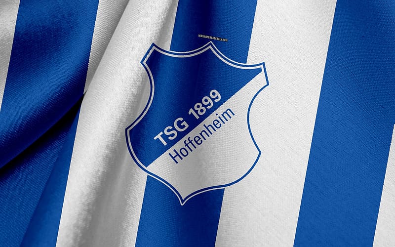 Sports, Logo, Emblem, Soccer, Tsg 1899 Hoffenheim, HD wallpaper